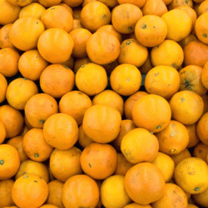 Orangen Navellate-canva