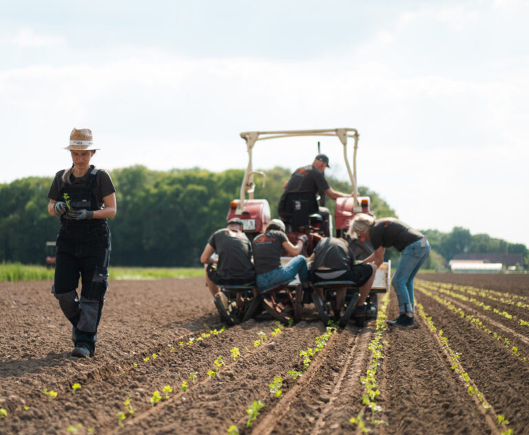 Pflanzen mit dem Traktor